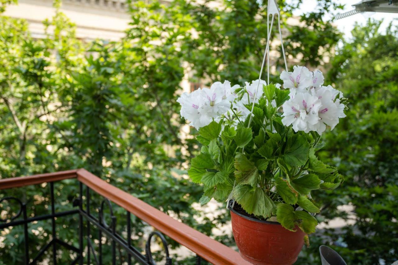 Boutique Hotel Avenue Baku Exterior photo